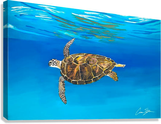 2388235 :: Giclée Stretched Canvas Print