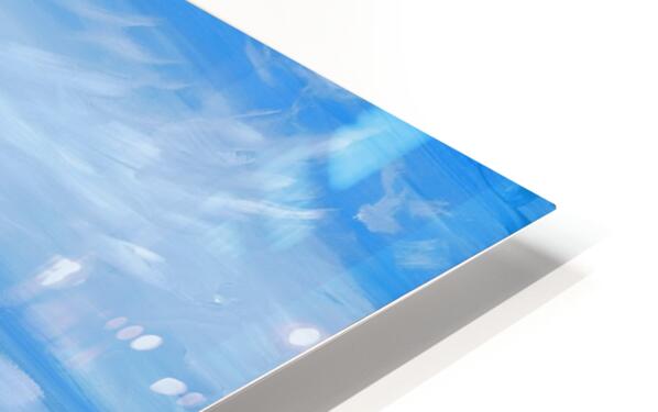 2387804 :: HD Sublimation Metal Print
